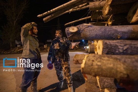 گزارش تصویری | قاچاق چوب