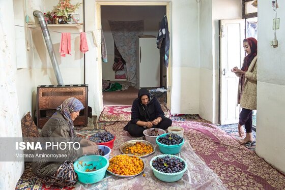 ایران زیباست | «خرو» بزرگ‌ترین تولیدکننده آلو در کشور