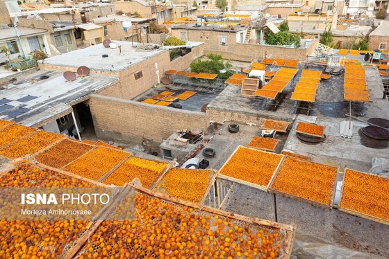 ایران زیباست | «خرو» بزرگ‌ترین تولیدکننده آلو در کشور