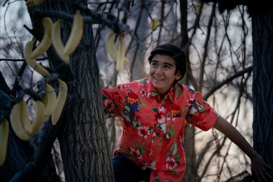 درباره فیلم سینمایی «باغ کیانوش» + بازیگران، خلاصه داستان و تیزر