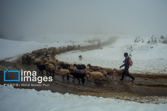 ایران زیباست | برف پاییزی در مازندران
