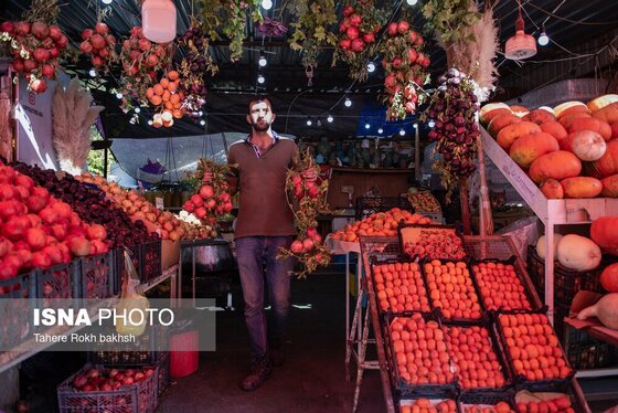 ایران زیباست | برداشت انار از باغات قصردشت شیراز