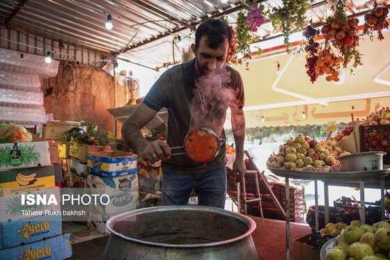ایران زیباست | برداشت انار از باغات قصردشت شیراز
