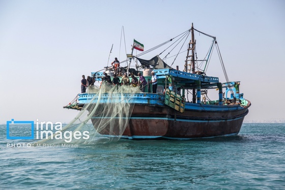 ایران زیباست | صید میگو و ماهی در خلیج فارس