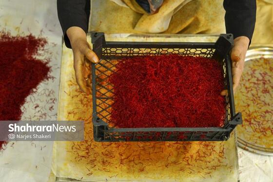 ایران زیباست | فصل طلای سرخِ خراسان
