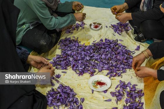 ایران زیباست | فصل طلای سرخِ خراسان