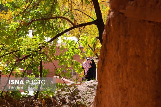 ایران زیباست | پاییز در روستای تاریخی ابیانه