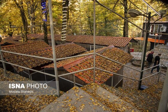ایران زیباست | مجموعه تاریخی عباس آباد بهشهر در فصل پائیز