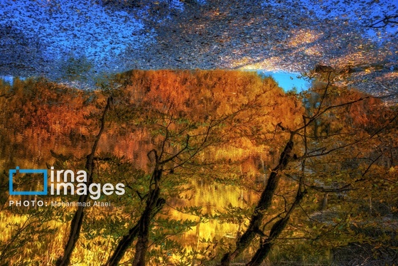 ایران زیباست | پاییز در جنگل‌های گلستان