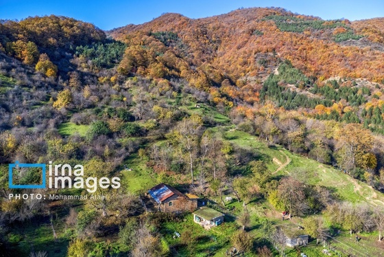 ایران زیباست | پاییز در جنگل‌های گلستان
