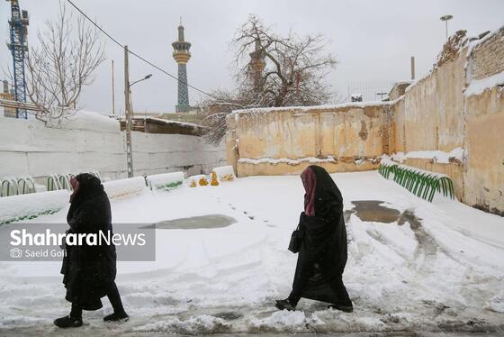 گزارش تصویری | بارش برف در مشهد