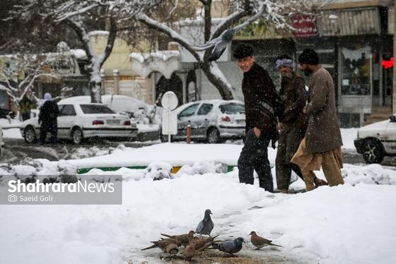 گزارش تصویری | بارش برف در مشهد