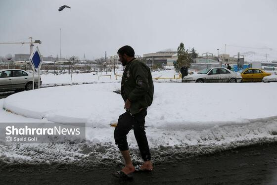 گزارش تصویری | بارش برف در مشهد
