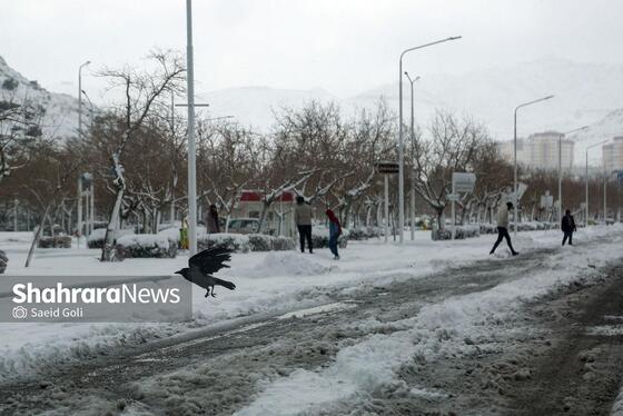 گزارش تصویری | بارش برف در مشهد