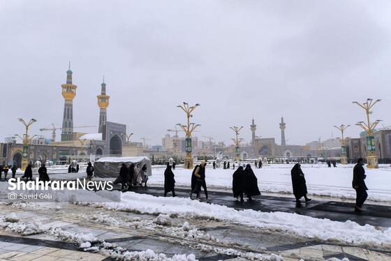 گزارش تصویری | بارش برف در مشهد