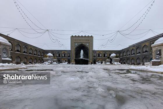 گزارش تصویری | بارش برف در مشهد