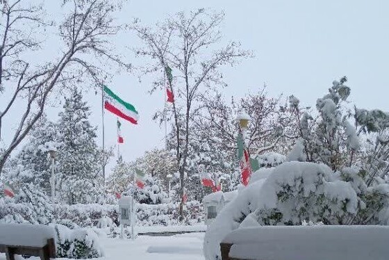 گزارش تصویری | حال و هوای برفی گلزار مطهر شهدا آرامستان بهشت رضا (ع) مشهد (۲۵ آذر ۱۴۰۳)