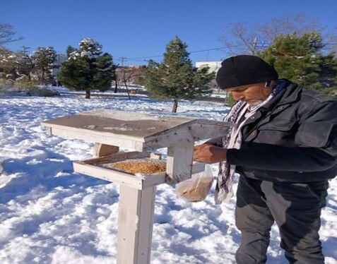 حمایت شهرداری مشهد از پرندگان در فصل سرما با شارژ ۳۴۰ دانخوری و ۳۰۰ آبخوری در فضاهای سبز