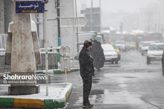 گزارش تصویری | بارش برف در مشهد (۲۱ بهمن ۱۴۰۳)