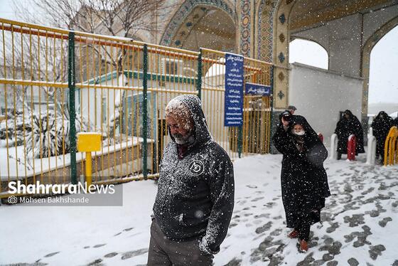 گزارش تصویری | بارش برف در مشهد (۲۱ بهمن ۱۴۰۳)