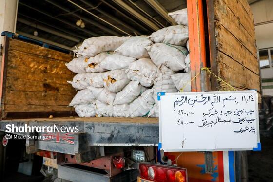 گزارش تصویری | بازدید رئیس کمیسیون اصل ۹۰ از میدان‌بار سپاد مشهد (۲۴ بهمن ۱۴۰۳)