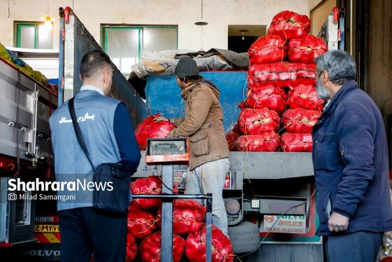 گزارش تصویری | بازدید رئیس کمیسیون اصل ۹۰ از میدان‌بار سپاد مشهد (۲۴ بهمن ۱۴۰۳)