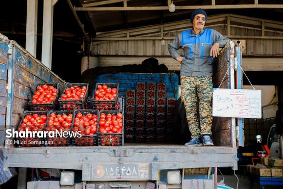 گزارش تصویری | بازدید رئیس کمیسیون اصل ۹۰ از میدان‌بار سپاد مشهد (۲۴ بهمن ۱۴۰۳)