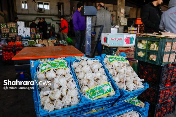 گزارش تصویری | بازدید رئیس کمیسیون اصل ۹۰ از میدان‌بار سپاد مشهد (۲۴ بهمن ۱۴۰۳)