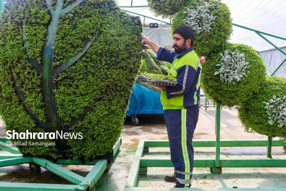 گزارش تصویری | مرکز تولیدات گل و گیاه شهرداری مشهد
