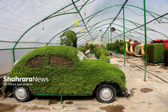 گزارش تصویری | مرکز تولیدات گل و گیاه شهرداری مشهد