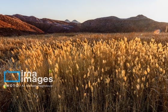 ایران زیباست | آلا داغلار