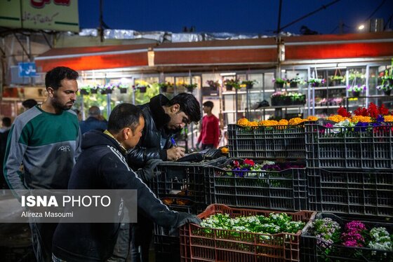 ایران زیباست | بازار گل محلاتی در روزهای پایانی ۱۴۰۳