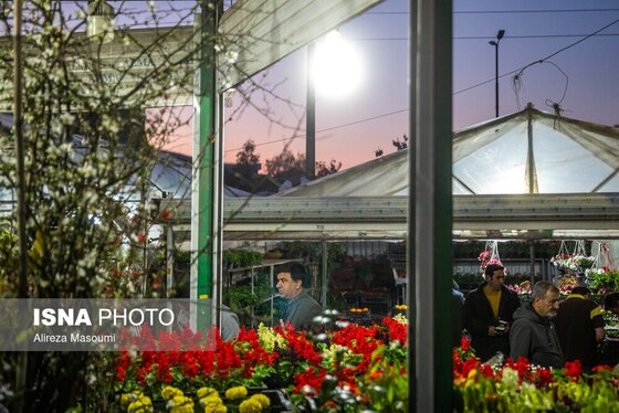 ایران زیباست | بازار گل محلاتی در روزهای پایانی ۱۴۰۳