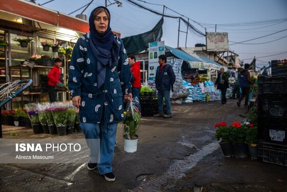 ایران زیباست | بازار گل محلاتی در روزهای پایانی ۱۴۰۳