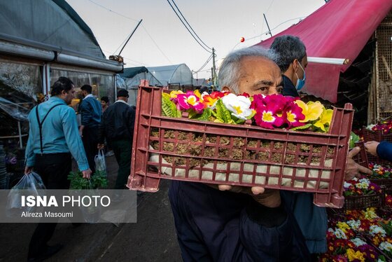 ایران زیباست | بازار گل محلاتی در روزهای پایانی ۱۴۰۳