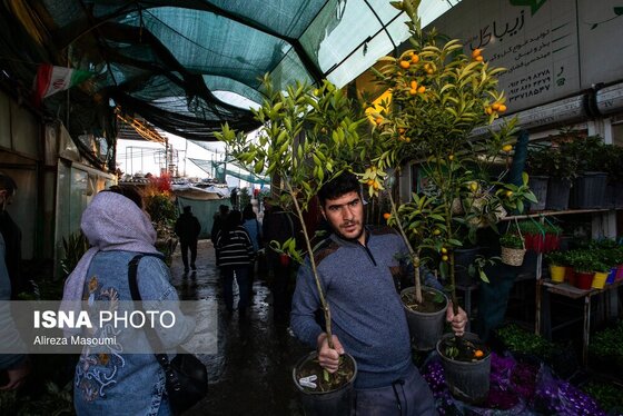 ایران زیباست | بازار گل محلاتی در روزهای پایانی ۱۴۰۳