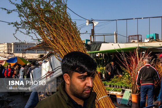 ایران زیباست | بازار گل محلاتی در روزهای پایانی ۱۴۰۳