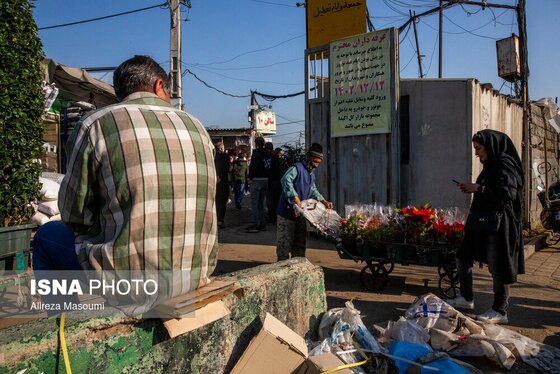 ایران زیباست | بازار گل محلاتی در روزهای پایانی ۱۴۰۳