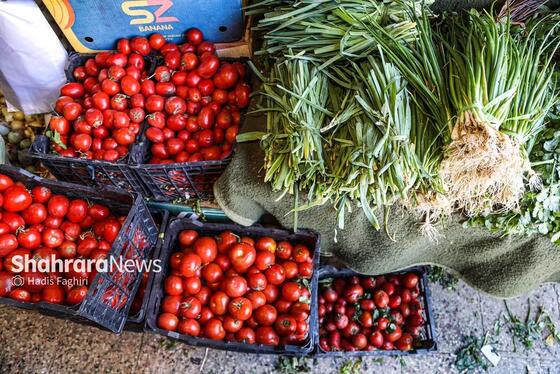 گزارش تصویری | نظارت اتاق اصناف بر کسب و کار بلوار توس