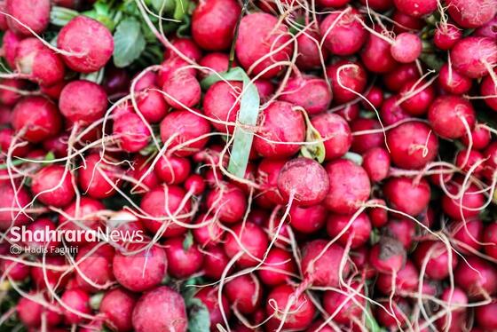 گزارش تصویری | نظارت اتاق اصناف بر کسب و کار بلوار توس