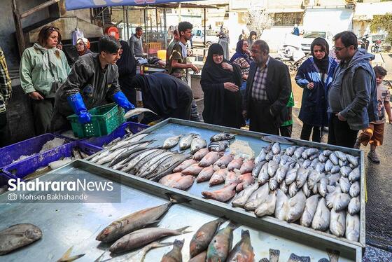 گزارش تصویری |  بازار ماهی فروشان در شهرک عرب‌های مشهد