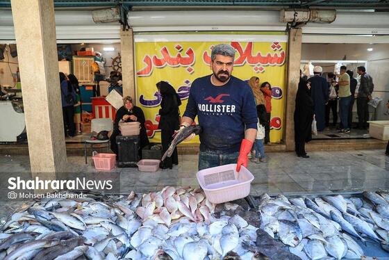 گزارش تصویری |  بازار ماهی فروشان در شهرک عرب‌های مشهد