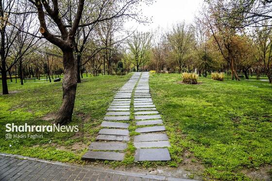 گزارش تصویری|حال و هوای بارانی در پارک ملت مشهد