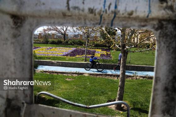 گزارش تصویری | المان های گل در نوروز ۱۴۰۴ مشهد