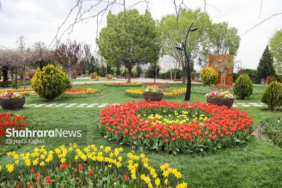 گزارش تصویری | بازدید استاندار خراسان رضوی و شهردار مشهد از پارک گل های مشهد