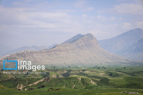 ایران زیباست | دشت «سوسن» خوزستان