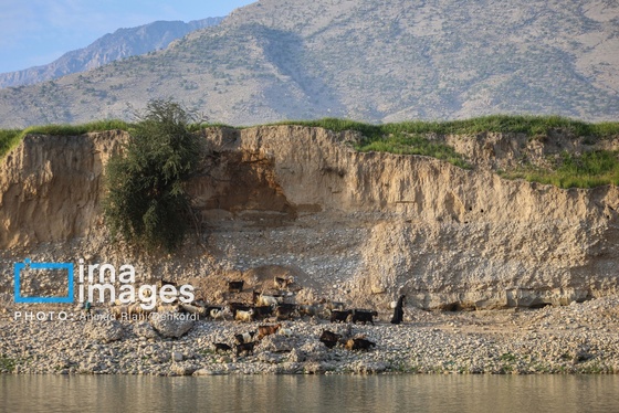 ایران زیباست | دشت «سوسن» خوزستان