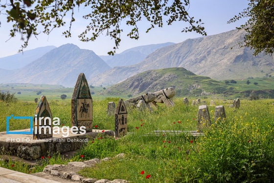 ایران زیباست | دشت «سوسن» خوزستان