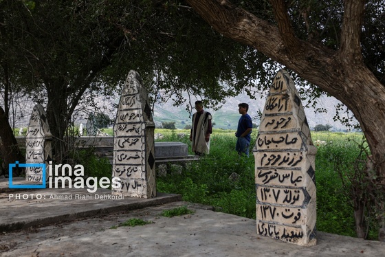 ایران زیباست | دشت «سوسن» خوزستان