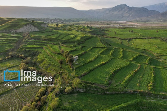 ایران زیباست | دشت «سوسن» خوزستان